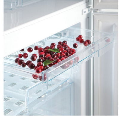 Холодильник Snaige RF39SM-P0002F (RF39SM-P0002F) фото