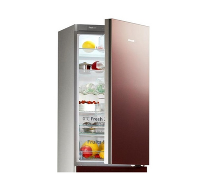 Двокамерний холодильник SNAIGE RF58NG-P7AHNF (RF58NG-P7AHNF) фото