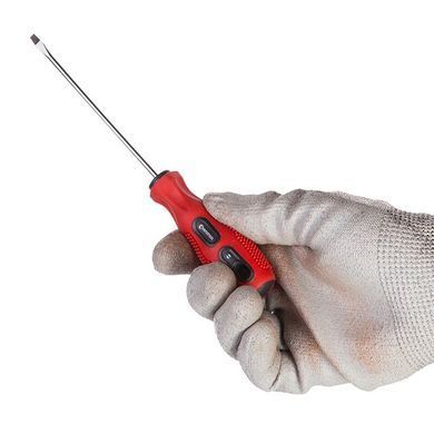 Викрутка INTERTOOL VT-3102 (VT-3102) фото