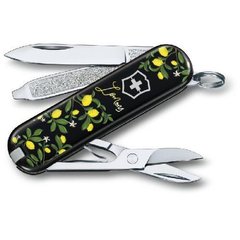 Нож складаний Victorinox Classic Le (0.6223.L1905) (Vx06223.L1905) фото