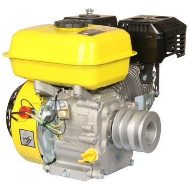 Бензиновый двигатель Кентавр ДВЗ-200БЗР (k119346) фото