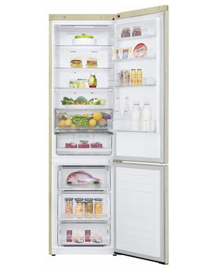 Двокамерний холодильник LG GA-B509MEQZ (GA-B509MEQZ) фото