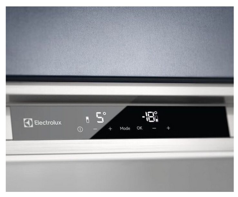 Холодильник Electrolux LNS9TD19S (LNS9TD19S) фото