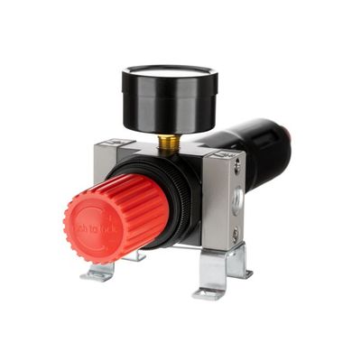 Фильтр для очистки воздуха с редуктором 1/4", 5мкм, 1200 л/мин, металл, профессиональный (PT-1419) фото
