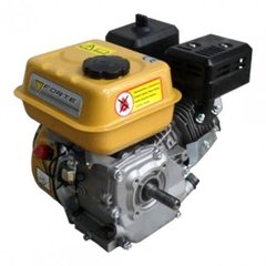 Бензиновый двигатель FORTE F200G (29962) фото