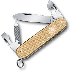 НожскладанийVictorinox Cadet (0.2601.L19)